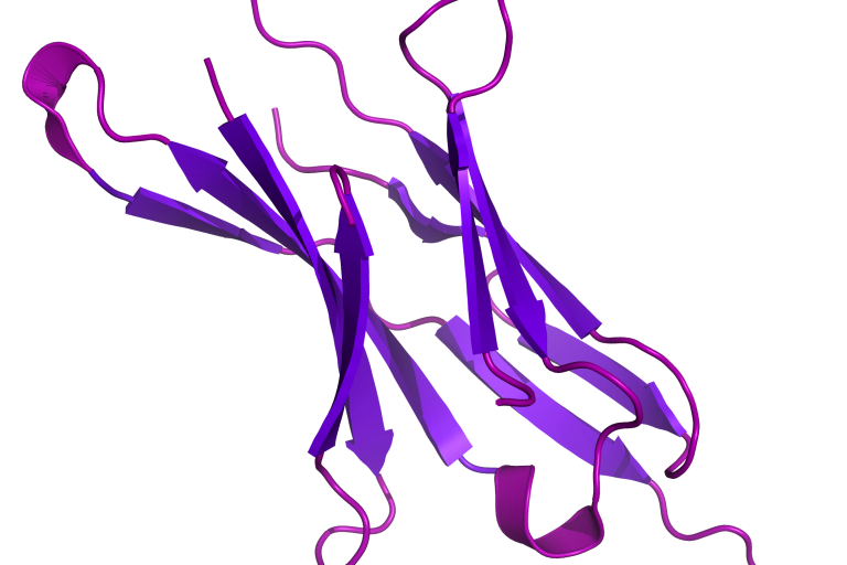 PD-1