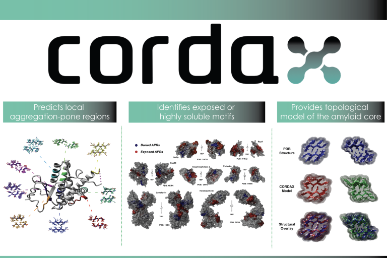 Cordax