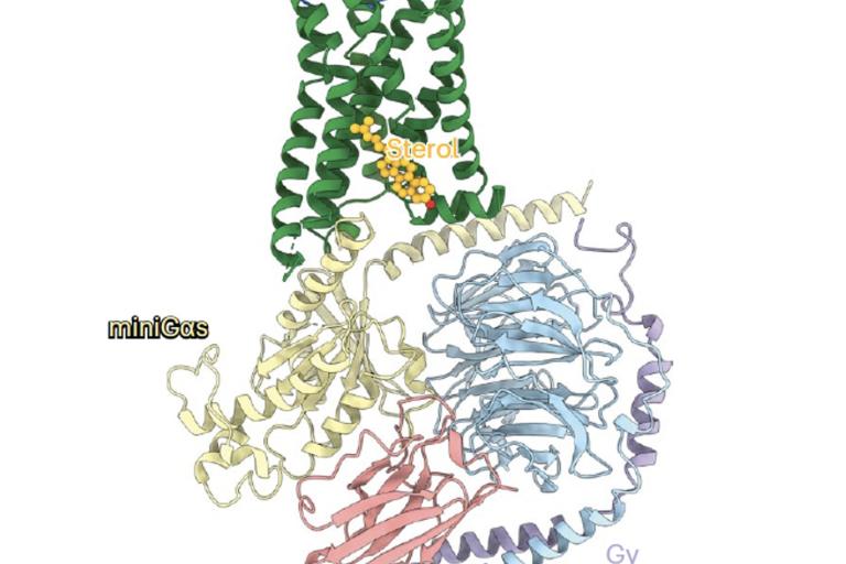 Placeholder image