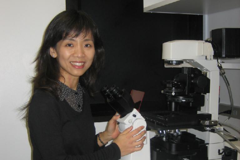 Jen Liou, Ph.D.