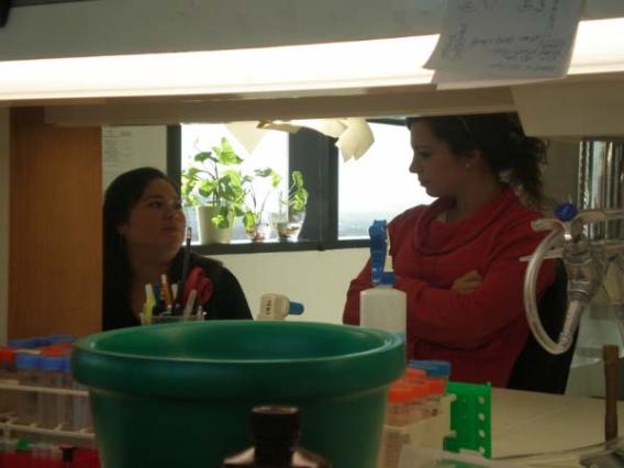 Team members working in lab