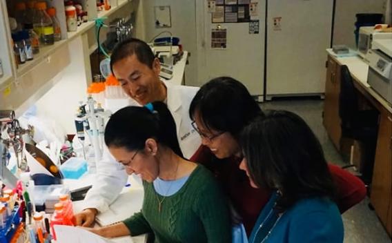 Martinez Lab team at work