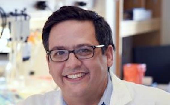 Emre Erol Turer, M.D., Ph.D.