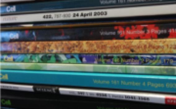 Stack of publications