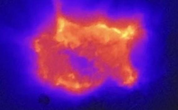 Thermal Imaging