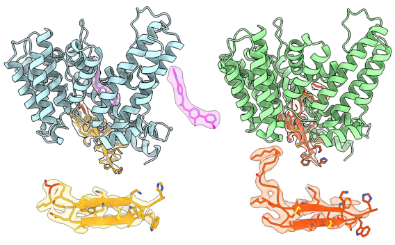 Qi Lab Publications Image