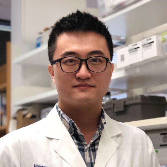 Qiang Feng, Ph.D.