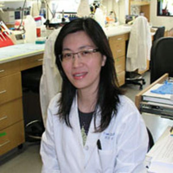 Yuan Zhang, Ph.D.