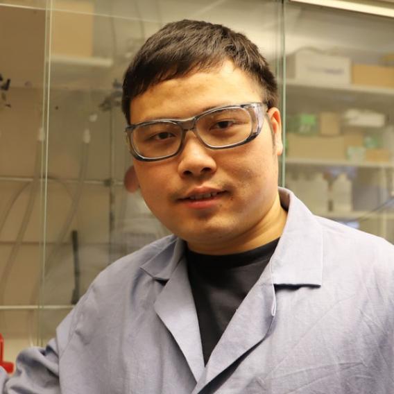 Yong Lu Ph.D.
