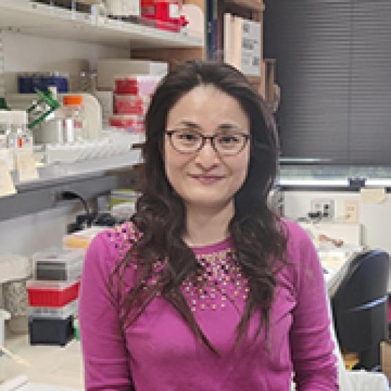 Ayako Suzuki, Ph.D.
