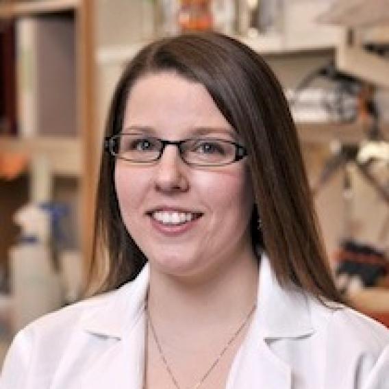 Ashly Pavlovsky, Ph.D.