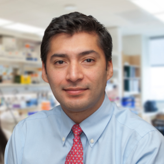 Luis Sifuentes-Dominguez, MD