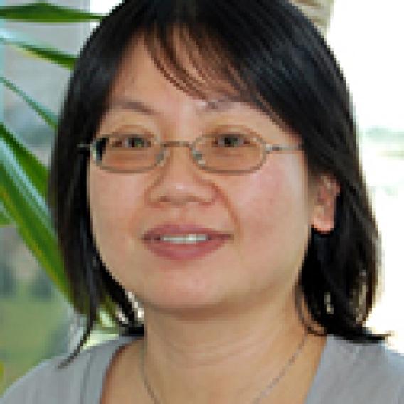 Yuhua Zou, M.Sc.