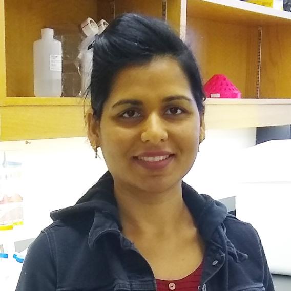Ritu Mishra, Ph.D.