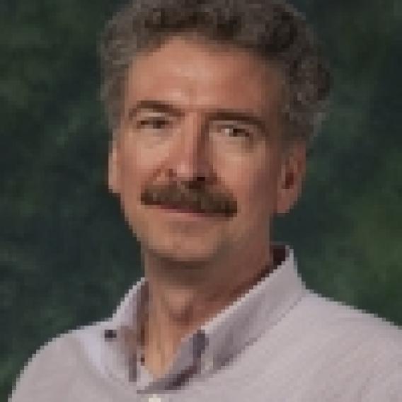 Vladimir Shulaev, PhD