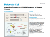 Molecular cell function chart