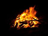 2010 St Kitts microRNA Meeting - bonfire