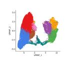 Single Cell