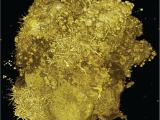 Spheroid Lung Cancer Cells