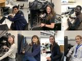 members 2019-2021