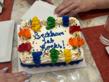 a colorful  cake on a table with server hands holding cake