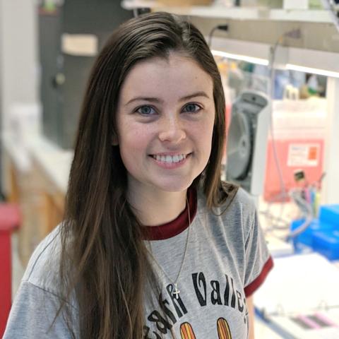 Smiling woman with long brown hair wearing a gray t-shirt with red trim.