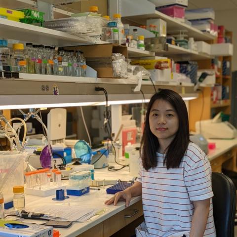 A woman with white shirt with horizontal stripes sitting at a lab bench