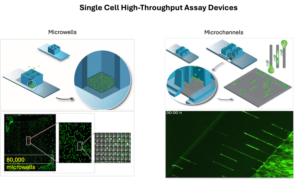 Single Cell High-Throughput Assay Devices