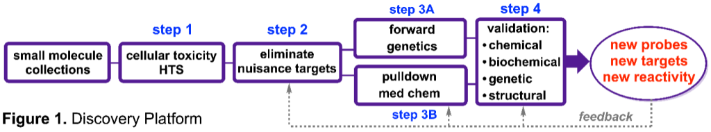 Discovery Platform