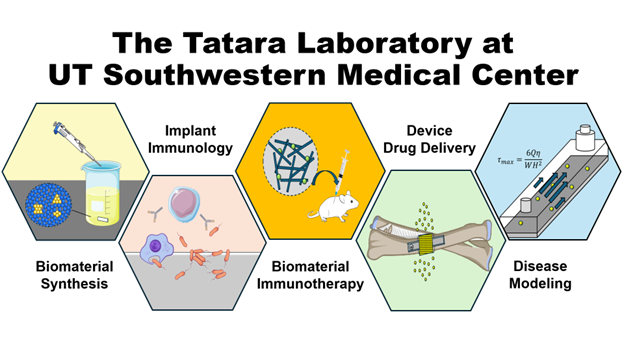 The Tatara Lab at UT Southwestern Medical Center