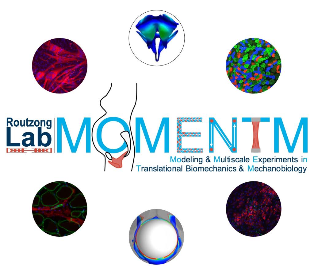 logo for Routzong Lab, MOMENTM - Modeling & Multiscale Experiments in Translational Biomechanics and Mechanobiology