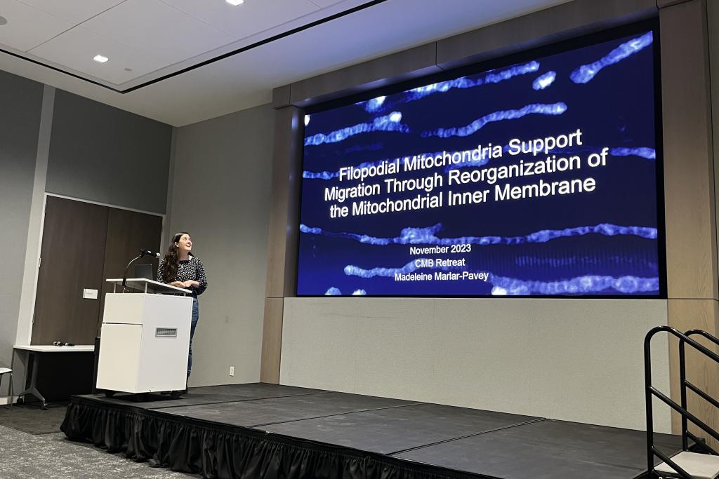 Madeleine presents at the CMB retreat