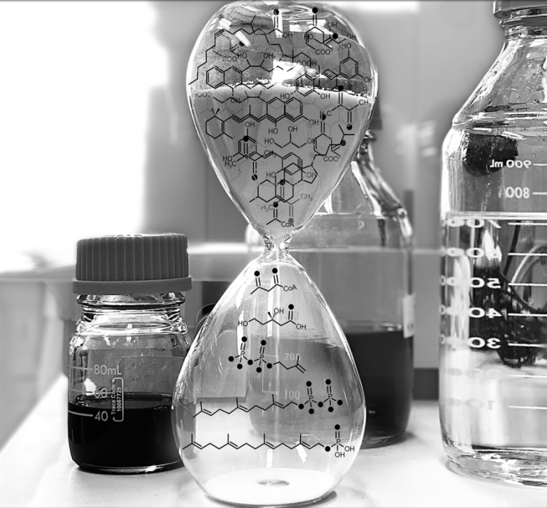 Jigsaw puzzle of human brain