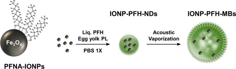 PFNA-IONPs