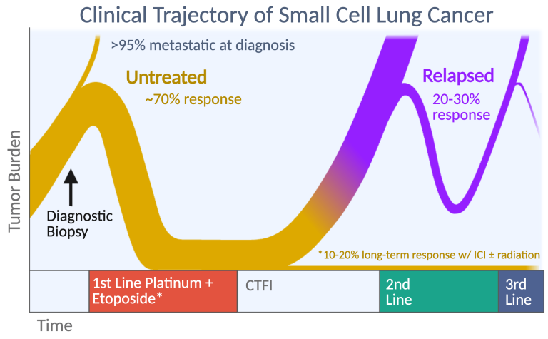 Chart illustrating the clinical trajectory of SCLC is biphasic and defined by acquired cross-resistance to chemotherapy.
