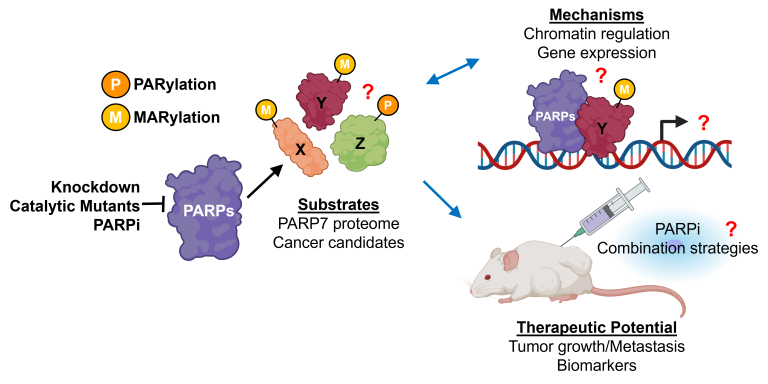 Camacho Lab Research Overview