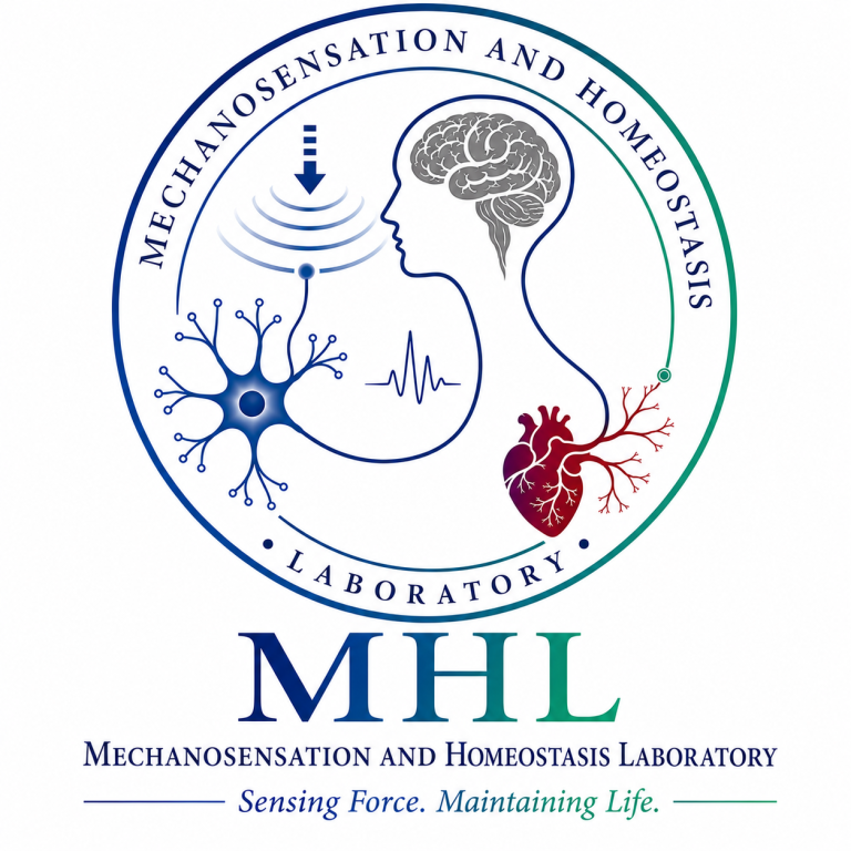 MHL - Mechanosensation and Homeostasis Laboratory logo