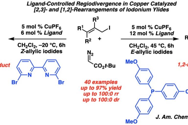 Second Ligand controlled regiodivergence of IY RS