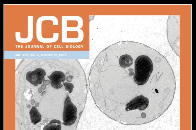 The Journal of Cell Biology cover