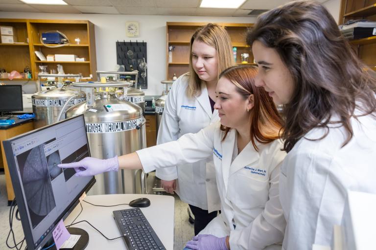 Dr. Wert pointing out material on a computer screen to Ashley Rowe and Emily Nettesheim.