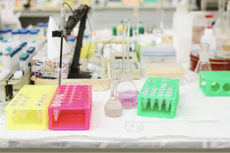 Lab Work Bench
