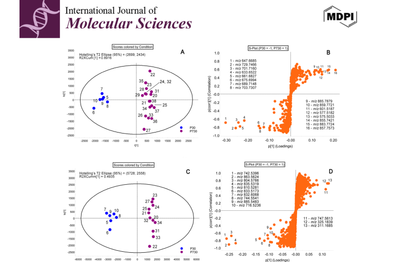 Dysregulation of Lipid Metabolism in Aging Meibomian Glands and Its Molecular Markers