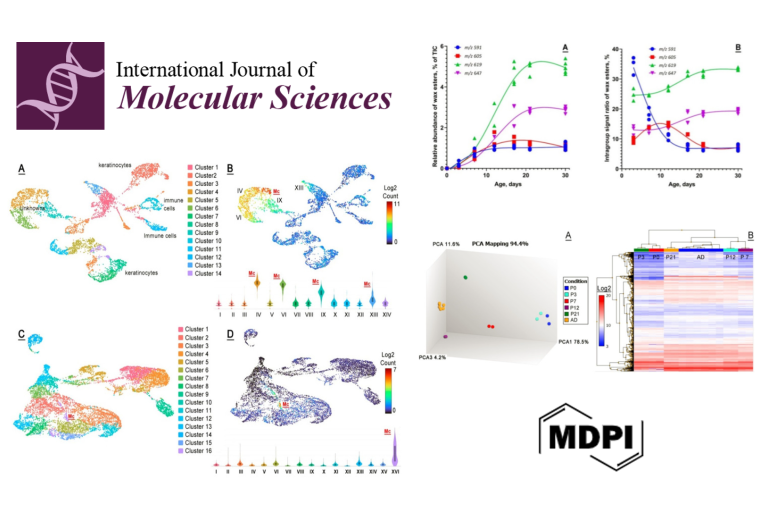 Dynamic Changes in the Gene Expression Patterns and Lipid Profiles in the Developing and Maturing Meibomian Glands
