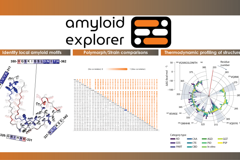 Amyloid Explorer