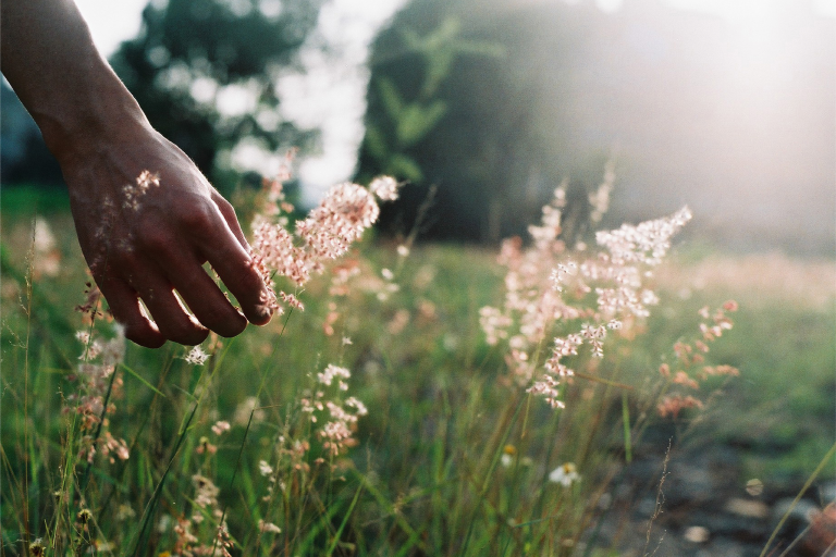 Hand through grass