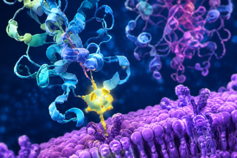 1-PSMA-Targeted Imaging and Therapy