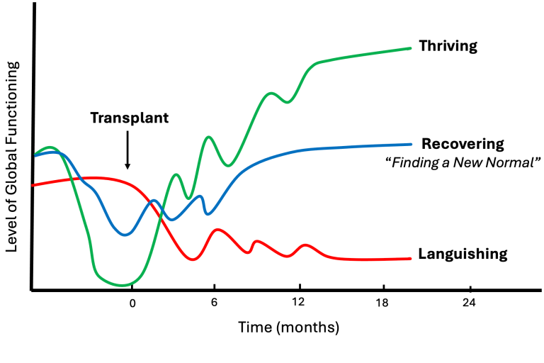 Line graph of global functioning vs. time (0–24 months) following transplant. Three trajectories diverge after an initial decline: green rises to high “Thriving,” blue partially recovers to moderate “Recovering,” and red declines to low “Languishing,” stabilizing at reduced function.