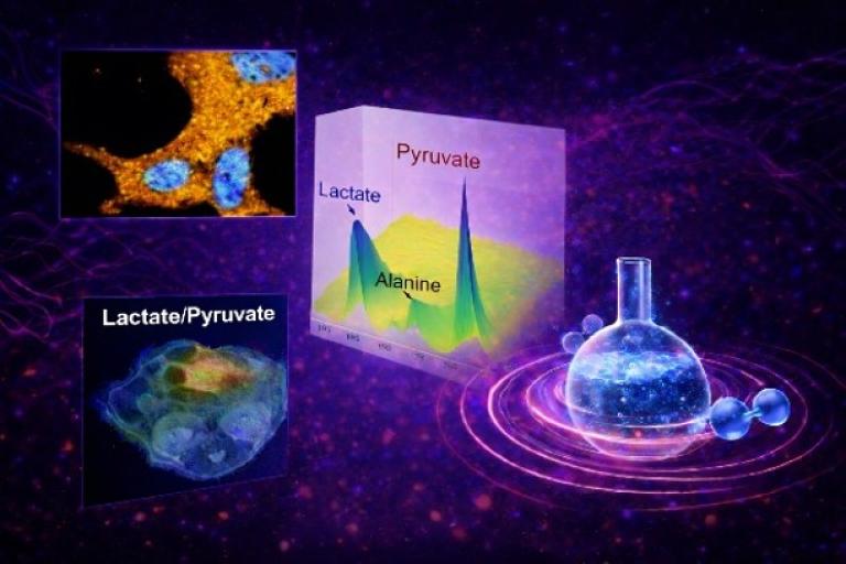 Quantum-enhanced biophysics and biochemistry 