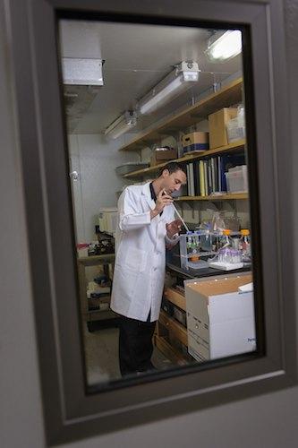Peter in Burstein Lab looking like a serious scientist