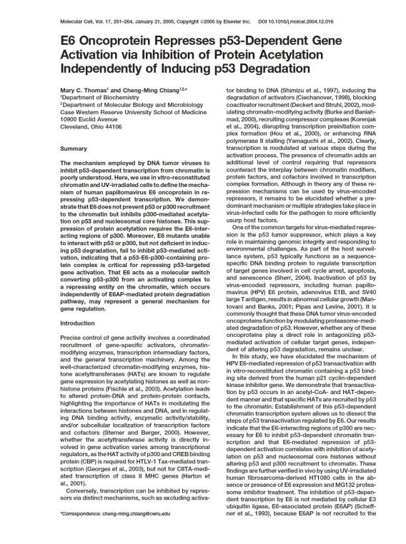 E6 Oncoprotein report